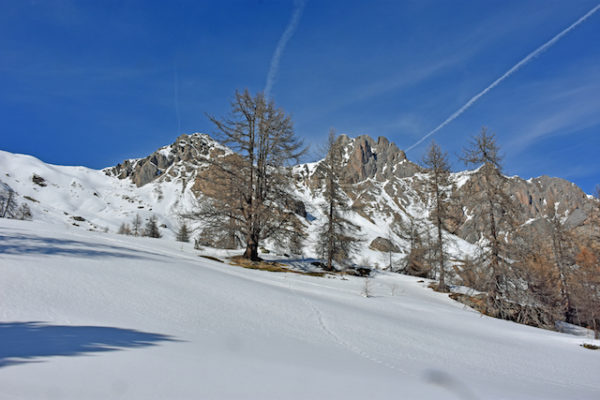 Le Meilleur des Écrins en raquette à neige – Image 9