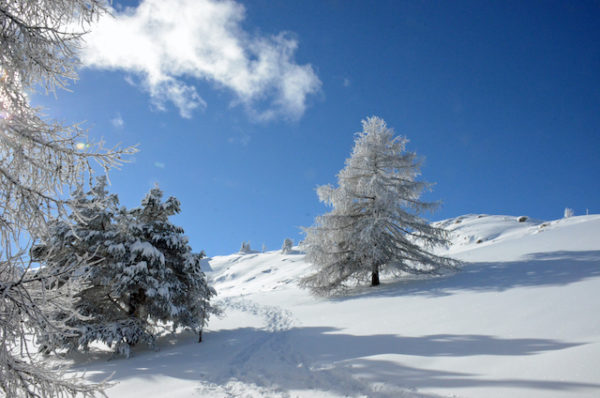 Le Meilleur des Écrins en raquette à neige – Image 10