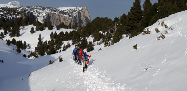 Les hauts plateaux sud du Vercors en raquette à neige – Image 3