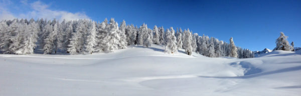 Le Meilleur des Écrins en raquette à neige – Image 14