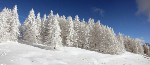 Le Meilleur des Écrins en raquette à neige – Image 18