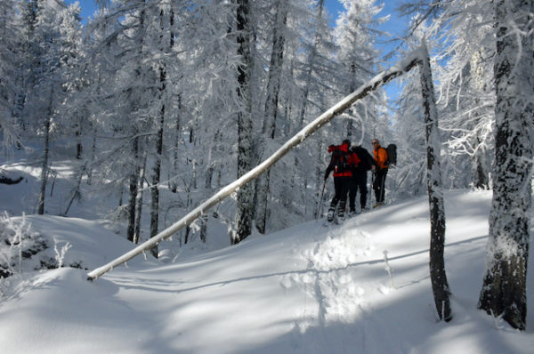Le Meilleur des Écrins en raquette à neige – Image 19