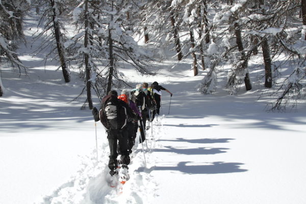 Le Meilleur des Écrins en raquette à neige – Image 22
