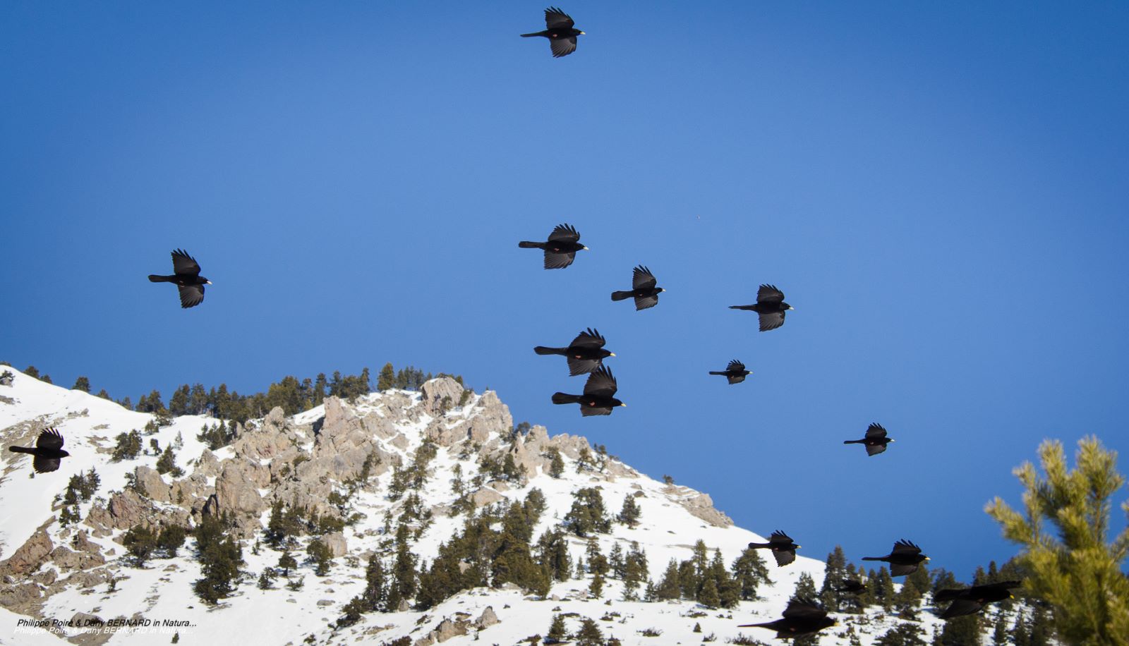 Séjour raquette & yoga en pleine nature – Image 13