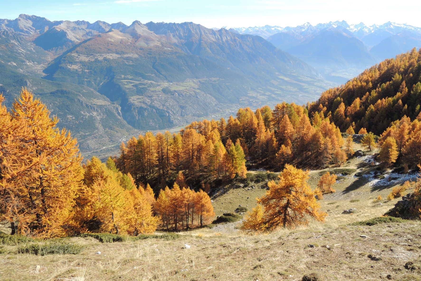 Forêts d'Automne – Image 2