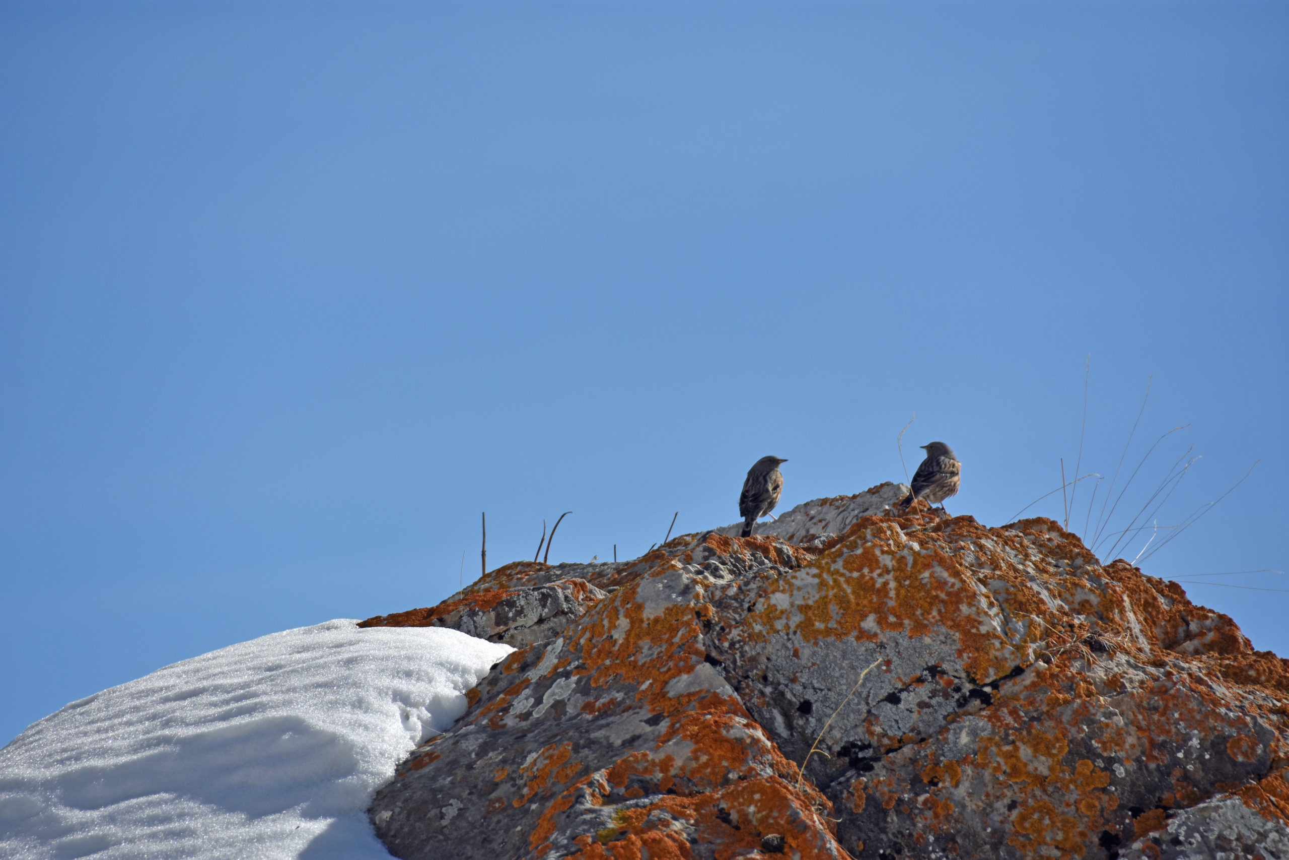 Séjour raquette & yoga en pleine nature – Image 39