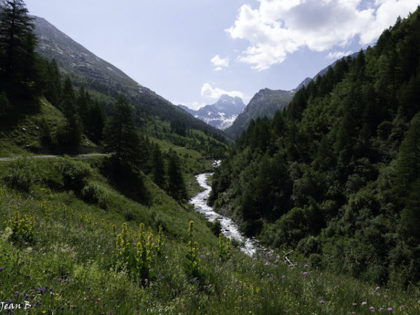 Le Queyras, une vallée particulière (Nicole Garcin) – Image 4