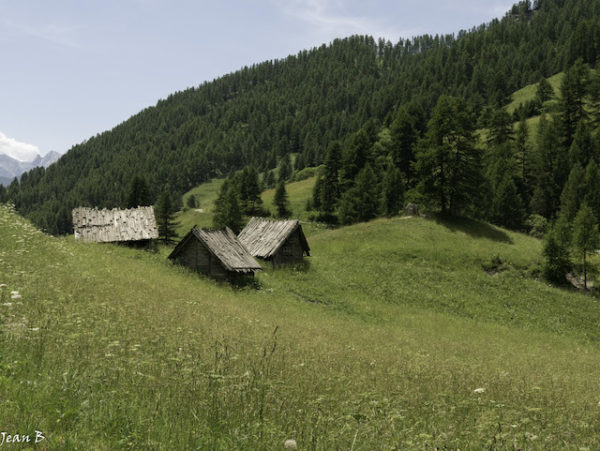Le Queyras, une vallée particulière (Nicole Garcin) – Image 10