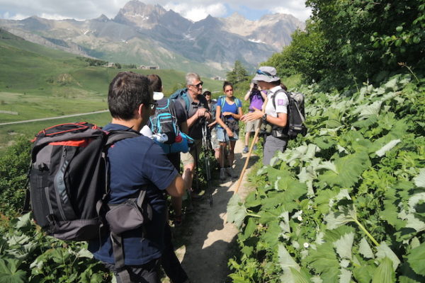 De Cerces en Écrins – Image 5