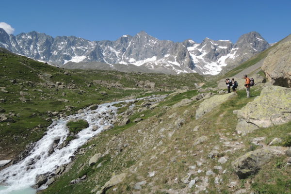 De Cerces en Écrins – Image 6