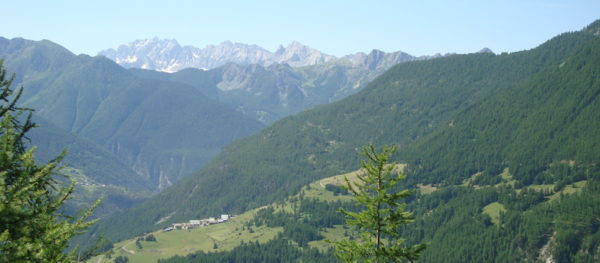 Le Queyras, une vallée particulière (Nicole Garcin) – Image 24