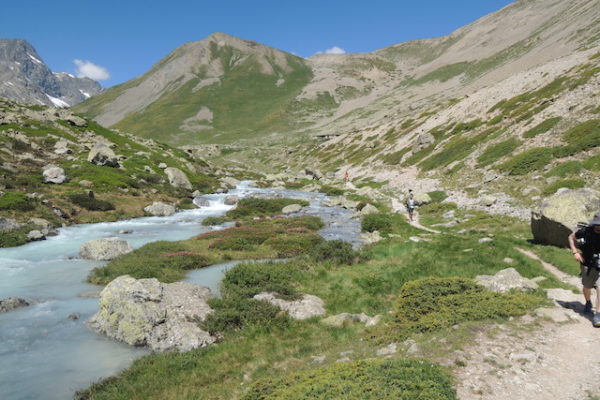 De Cerces en Écrins – Image 8