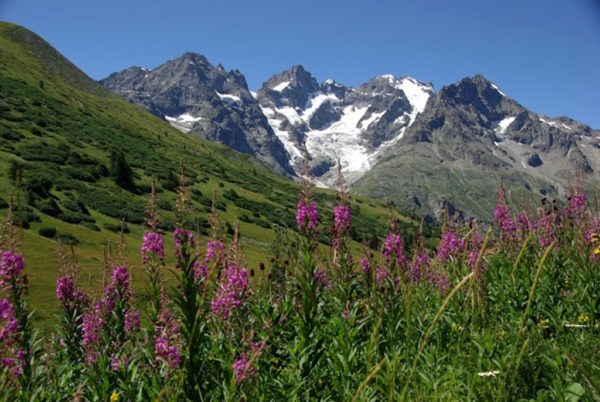 De Cerces en Écrins