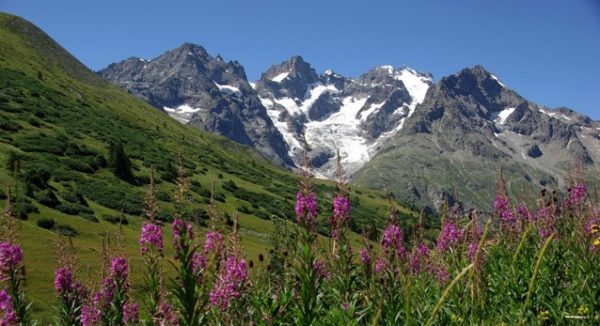 De Cerces en Écrins – Image 2