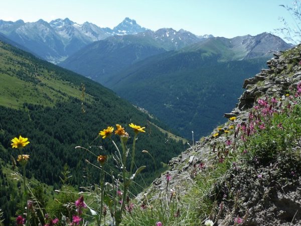 Le Queyras, une vallée particulière (Nicole Garcin) – Image 28