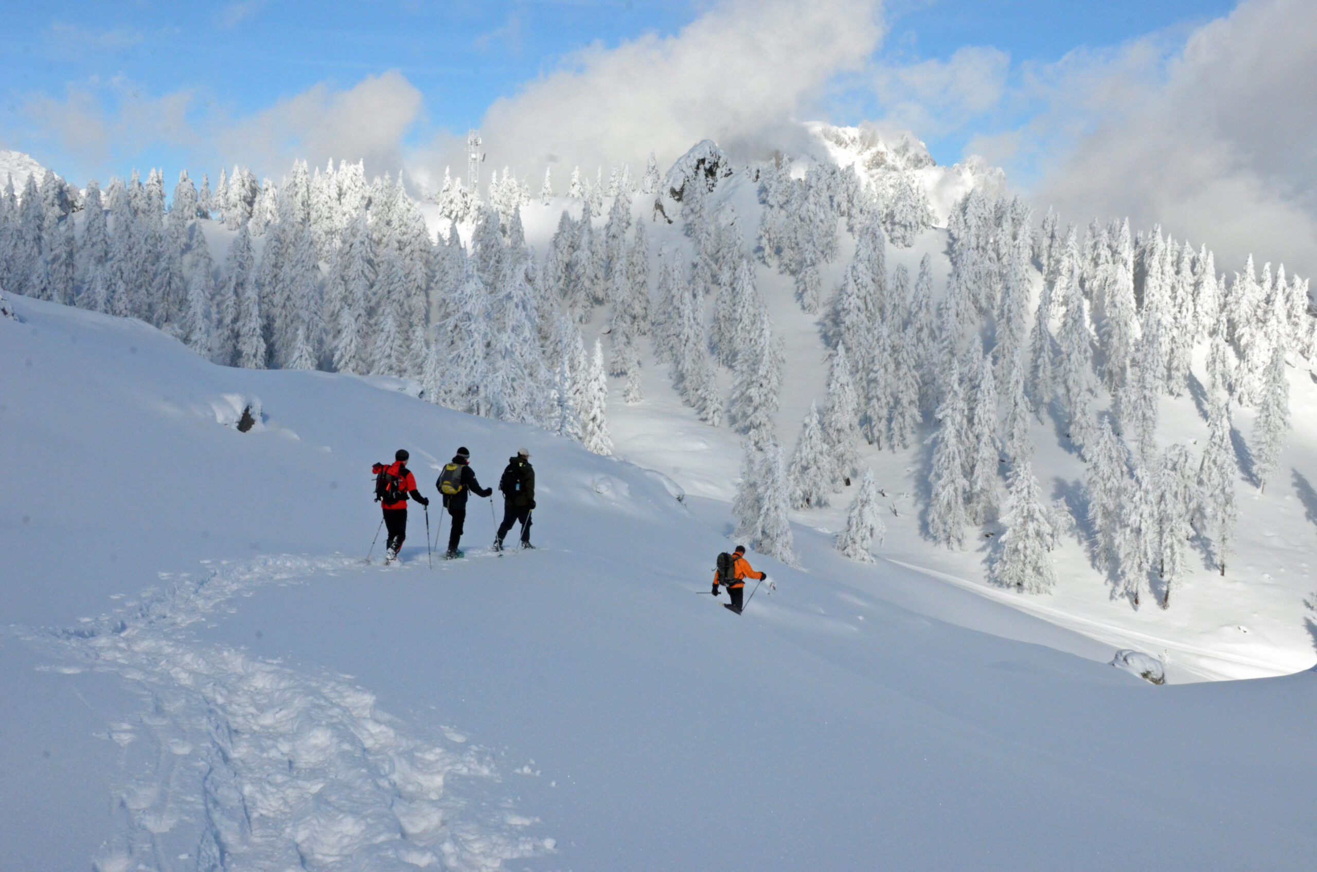 Séjour raquette & yoga en pleine nature – Image 38