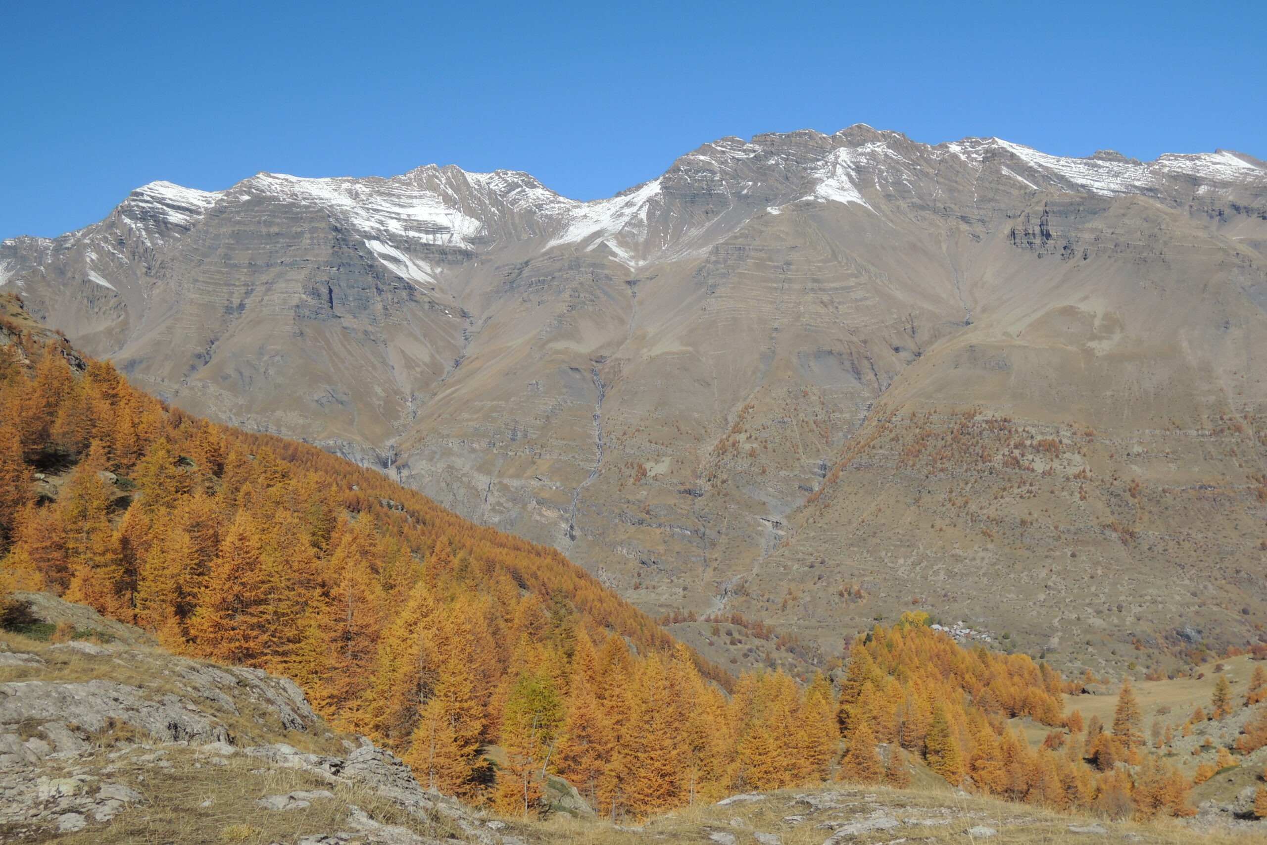 Forêts d'Automne – Image 7