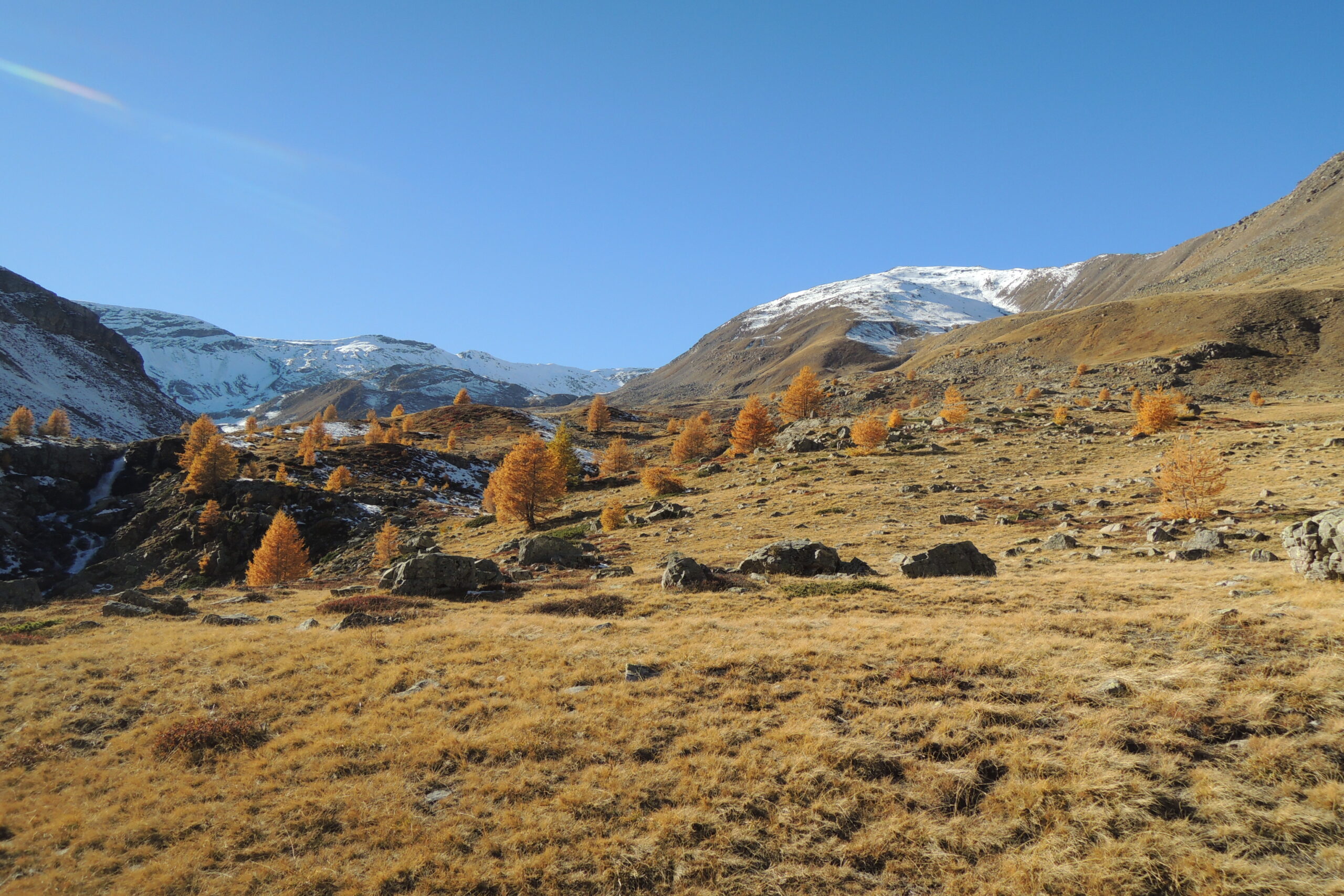 Forêts d'Automne – Image 8