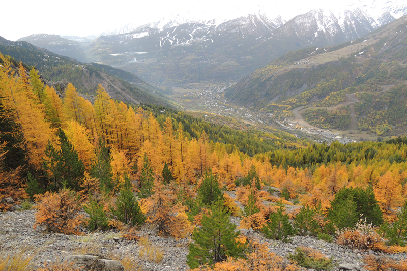 Forêts d'Automne – Image 6