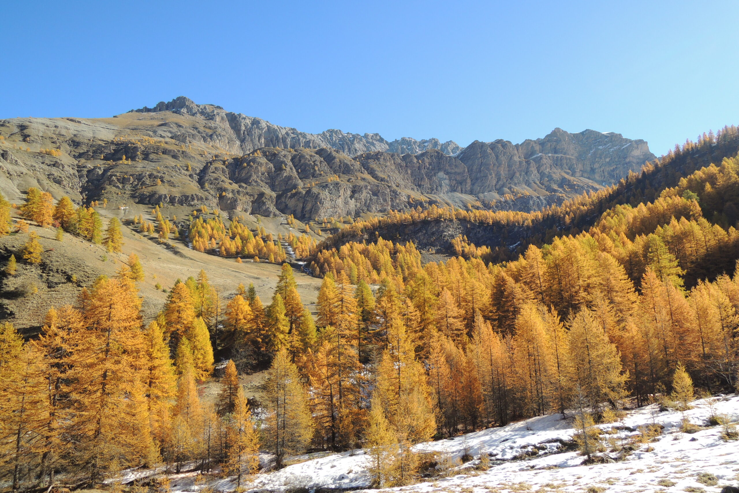 Forêts d'Automne