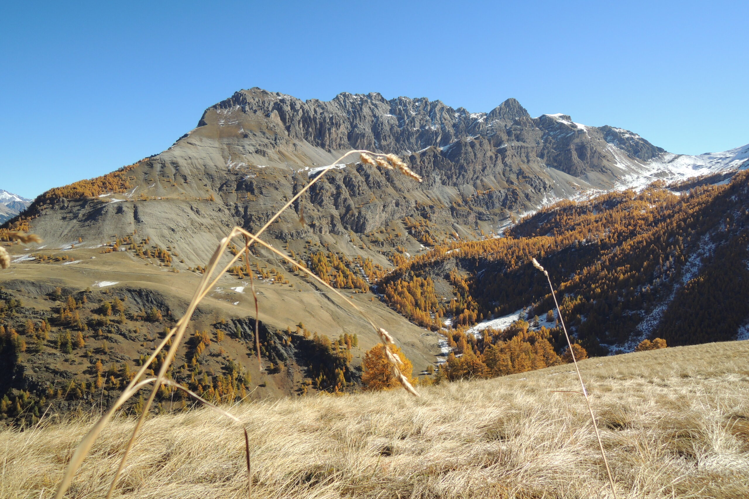 Forêts d'Automne – Image 10