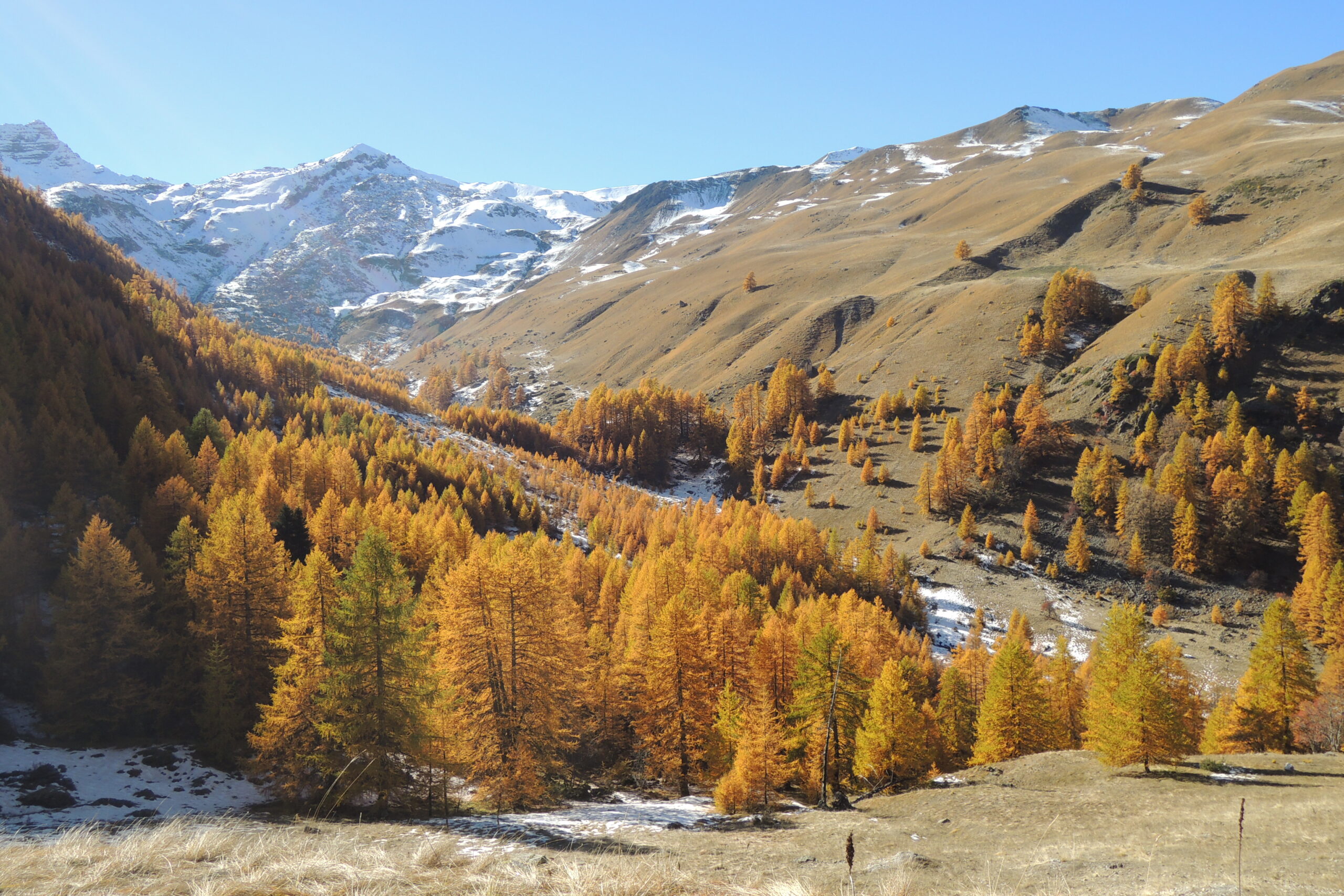 Forêts d'Automne – Image 14